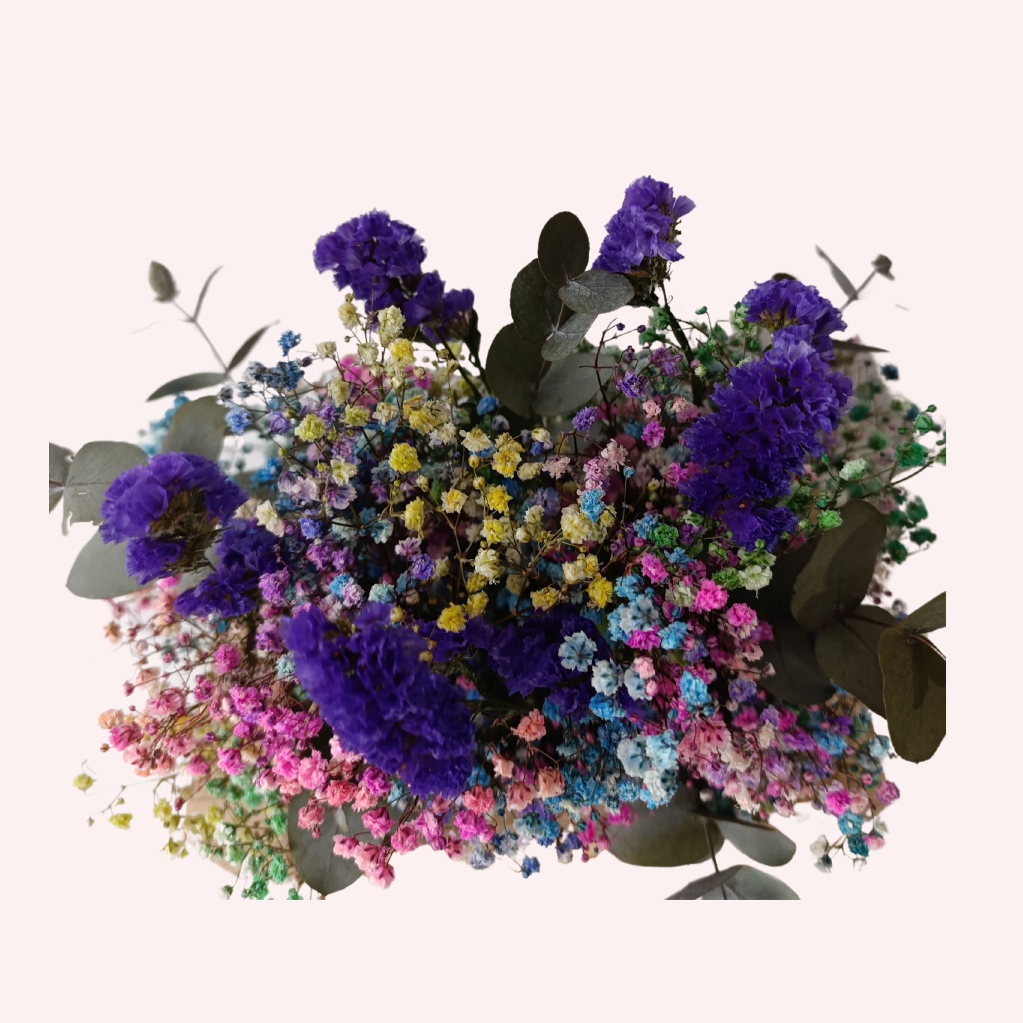 Colibrí
