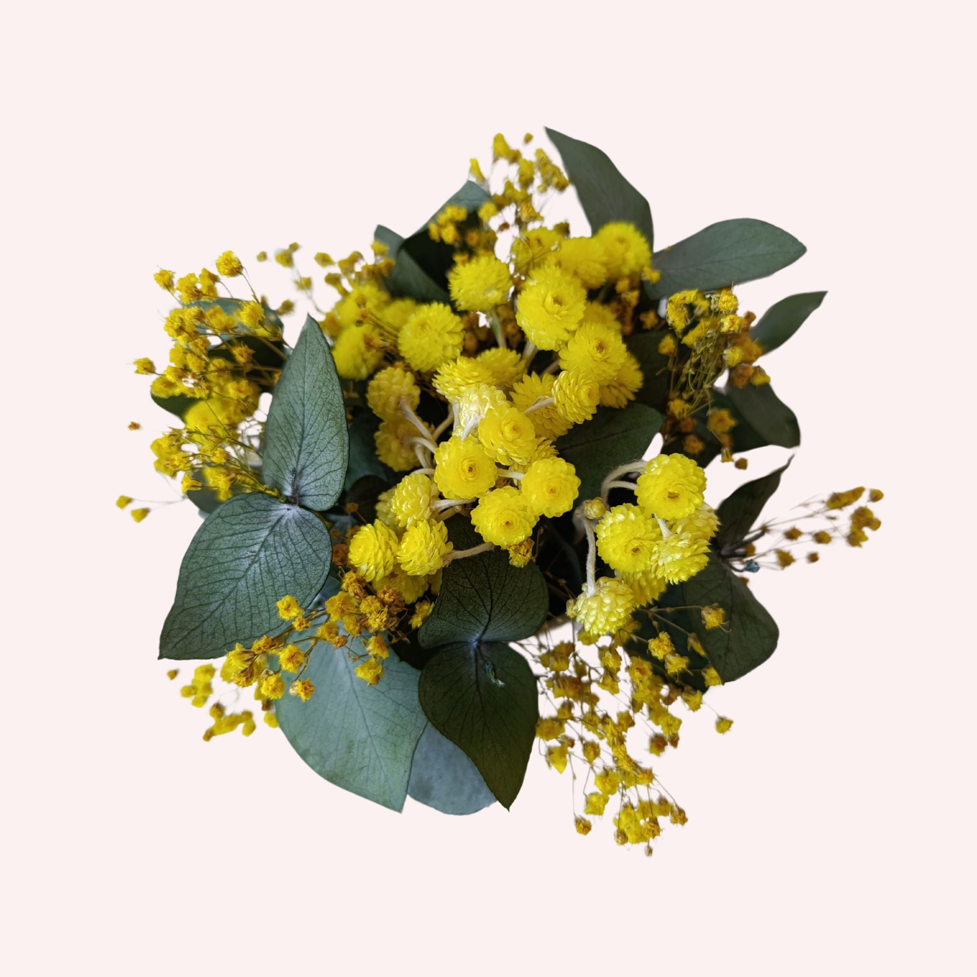 Amarilla