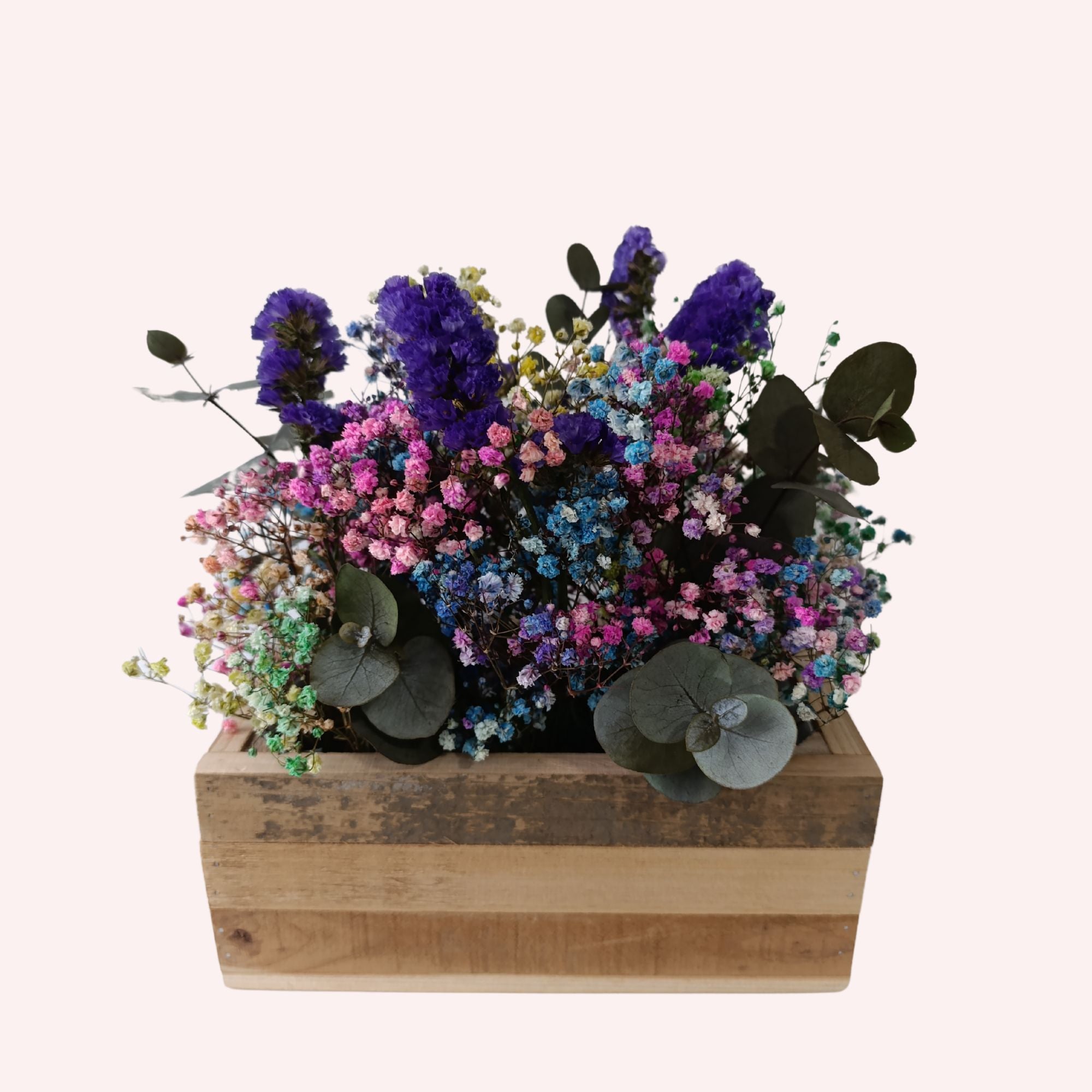Colibrí